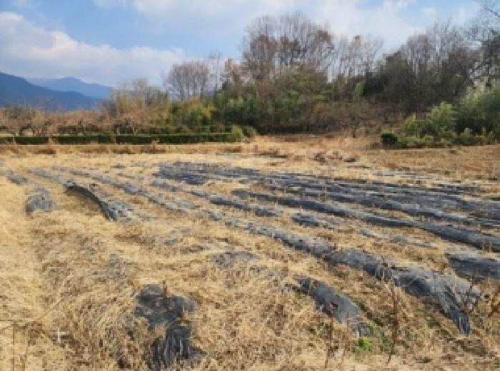 전남 구례군 광의면 전 경매 물건 사진