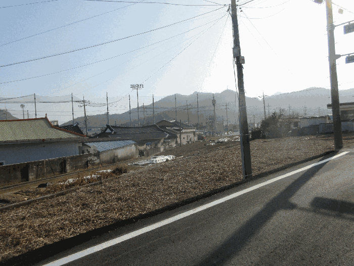 전남 고흥군 도화면 답 경매 물건 사진 6 · 2026타경50034