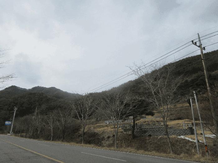 전남 순천시 주암면 임야 경매 물건 사진