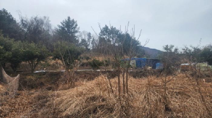 전남 고흥군 금산면 답 경매 물건 사진 2 · 2026타경50045