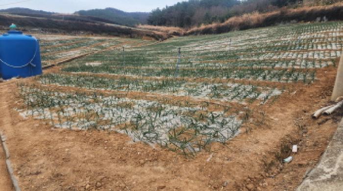 전남 고흥군 금산면 답 경매 물건 사진 4 · 2026타경50045