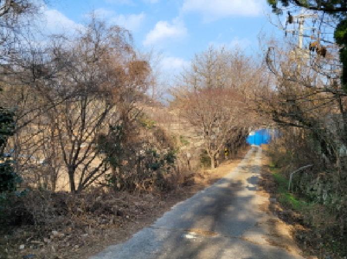 전남 여수시 소라면 도로 경매 물건 사진