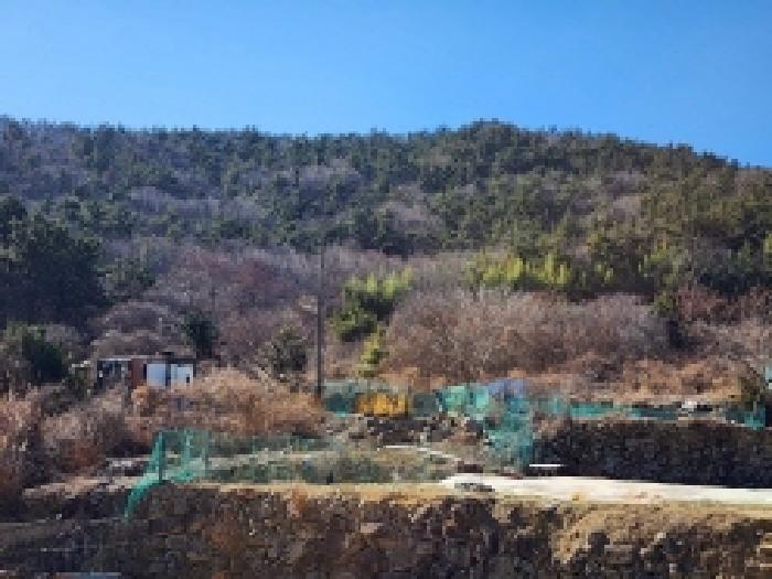 전남 여수시 돌산읍 답 경매 물건 사진