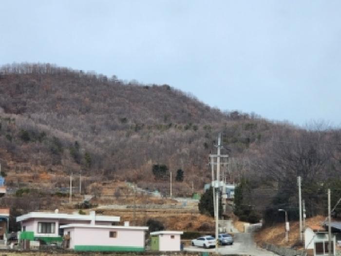 전남 광양시 봉강면 전답 경매 물건 사진