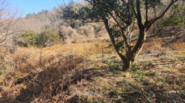 전남 고흥군 포두면 잡종지 경매 물건 사진