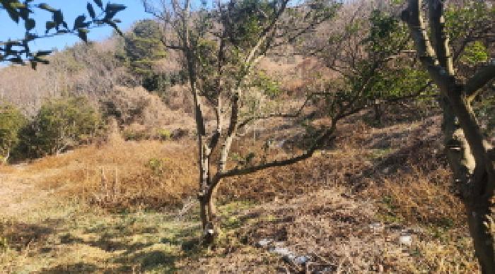 전남 고흥군 포두면 잡종지 경매 물건 사진 3 · 2026타경50092