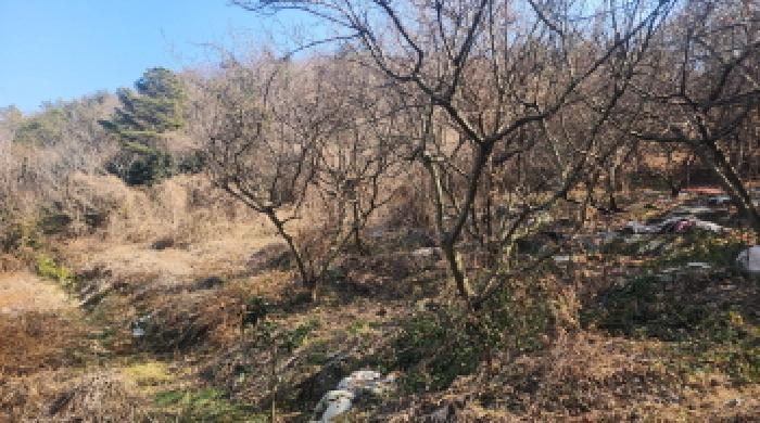 전남 고흥군 포두면 잡종지 경매 물건 사진 4 · 2026타경50092