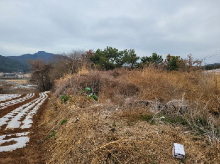 전남 여수시 화양면 임야 경매 물건 사진 5 · 2026타경50099