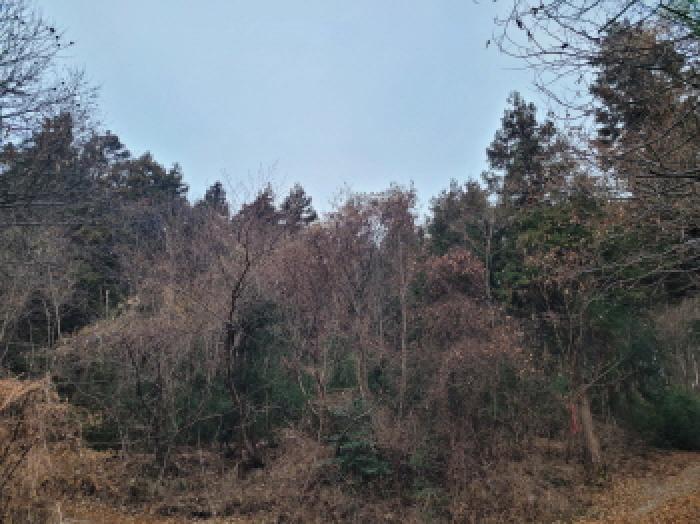 전남 여수시 율촌면 임야 경매 물건 사진