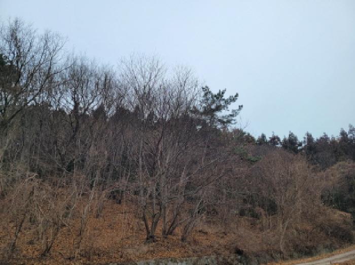 전남 여수시 율촌면 임야 경매 물건 사진 3 · 2026타경50111