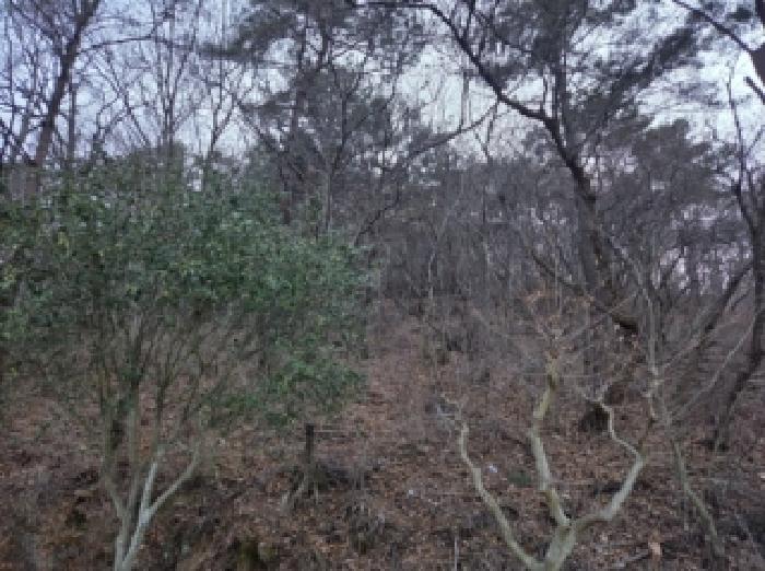 전남 순천시 해룡면 임야 경매 물건 사진