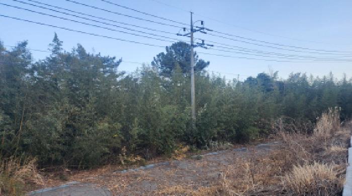 전남 고흥군 금산면 임야 경매 물건 사진