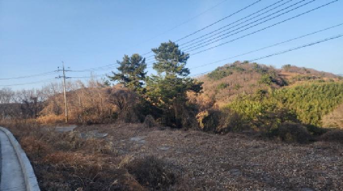 전남 고흥군 금산면 임야 경매 물건 사진 2 · 2026타경50157