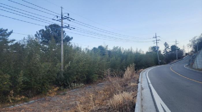 전남 고흥군 금산면 임야 경매 물건 사진 4 · 2026타경50157