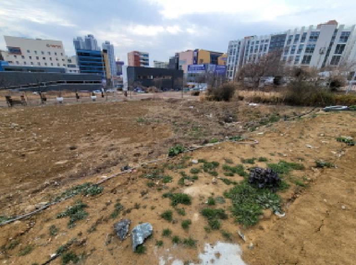 전남 여수시 웅천동 대지 경매 물건 사진 5 · 2026타경50161