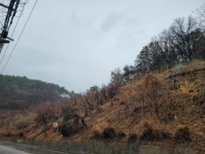 전남 여수시 시전동 전답 경매 물건 사진 2 · 2026타경50184