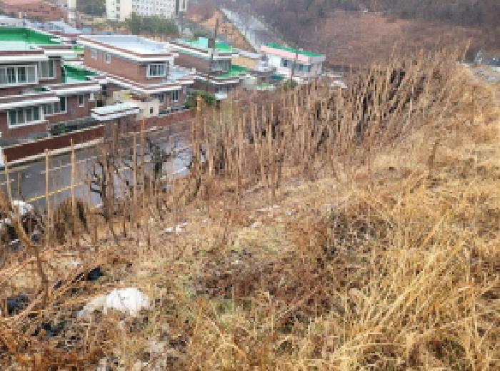 전남 여수시 시전동 전답 경매 물건 사진 5 · 2026타경50184