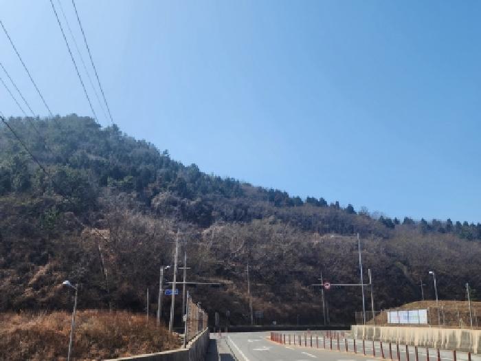 전남 여수시 묘도동 임야 경매 물건 사진 3 · 2026타경50186