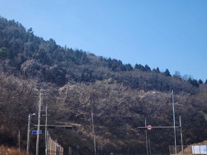 전남 여수시 묘도동 임야 경매 물건 사진 4 · 2026타경50186