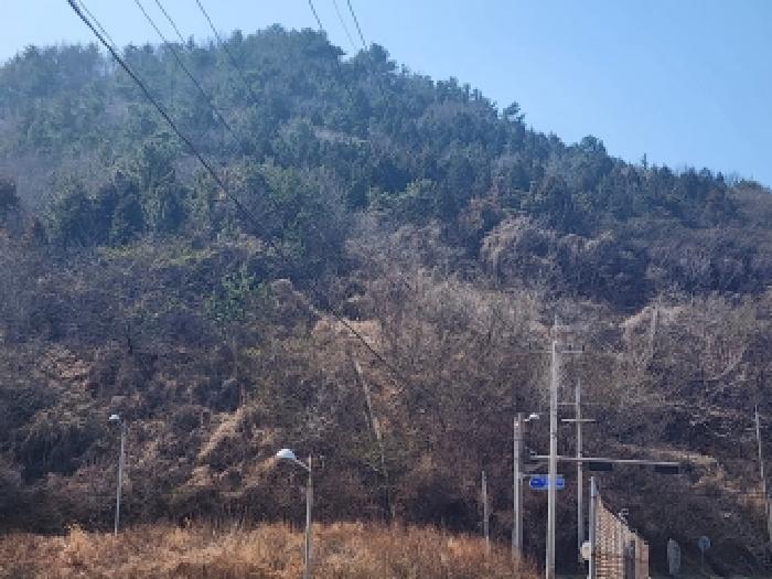 전남 여수시 묘도동 임야 경매 물건 사진 5 · 2026타경50186