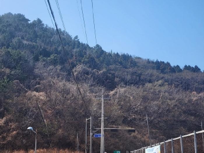 전남 여수시 묘도동 임야 경매 물건 사진 6 · 2026타경50186