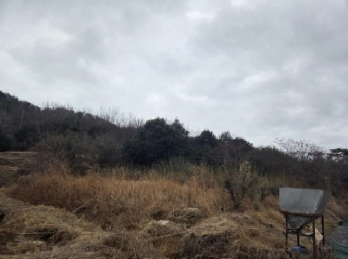전남 순천시 별량면 전 경매 물건 사진