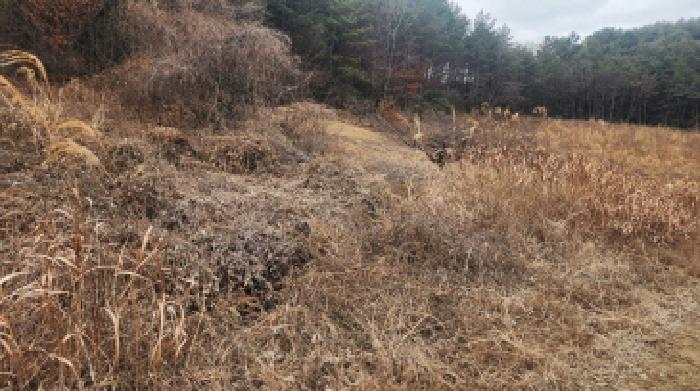 전남 고흥군 점암면 전답 경매 물건 사진 3 · 2026타경50240