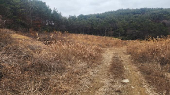 전남 고흥군 점암면 전답 경매 물건 사진 4 · 2026타경50240