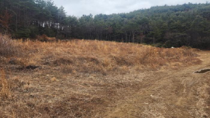 전남 고흥군 점암면 전답 경매 물건 사진 5 · 2026타경50240