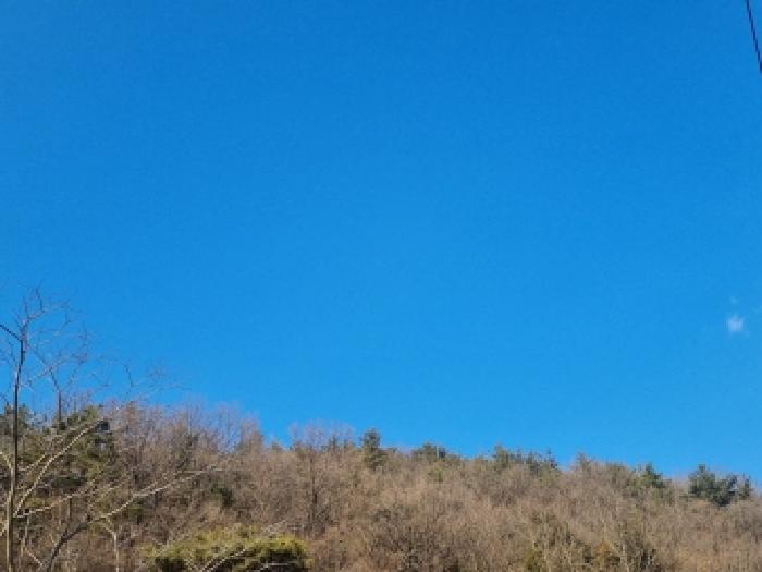 전남 순천시 상사면 임야 경매 물건 사진