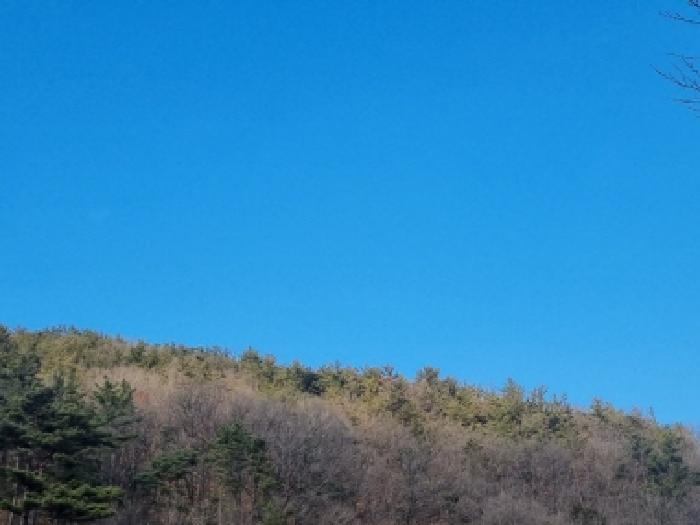 전남 순천시 상사면 임야 경매 물건 사진 2 · 2026타경50276