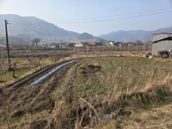 전남 순천시 월등면 전답 경매 물건 사진