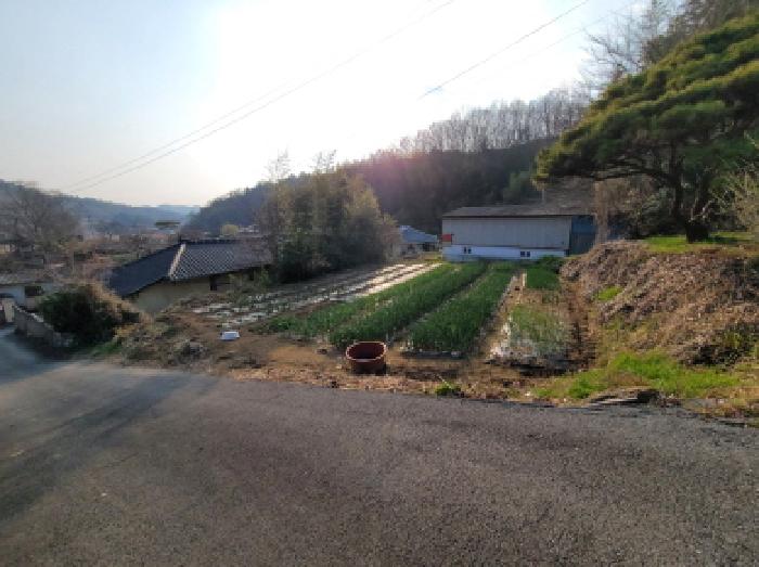 전남 보성군 겸백면 대지 경매 물건 사진