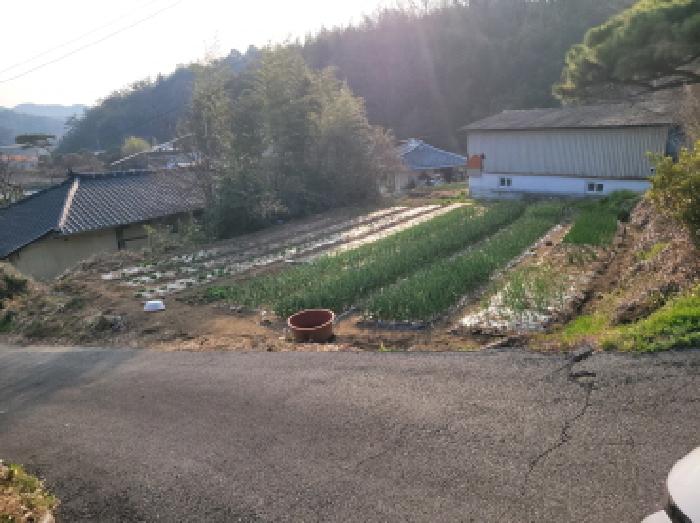 전남 보성군 겸백면 대지 경매 물건 사진 2 · 2026타경50353