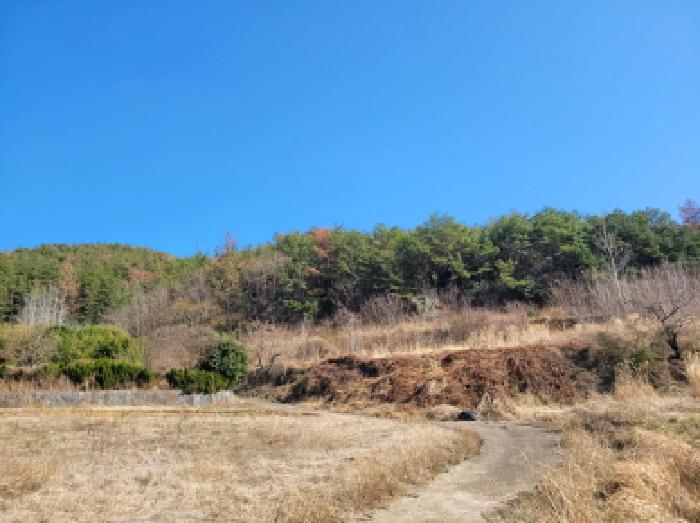 전남 고흥군 과역면 대지,임야,전답 경매 물건 사진 5 · 2026타경50358