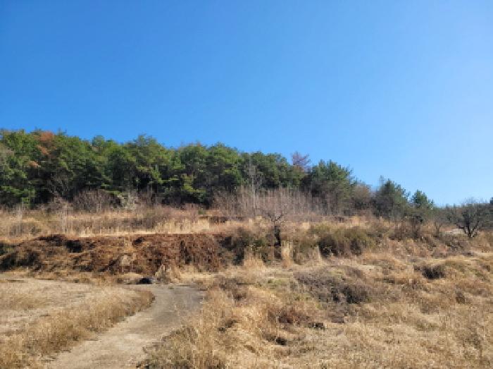 전남 고흥군 과역면 대지,임야,전답 경매 물건 사진 6 · 2026타경50358