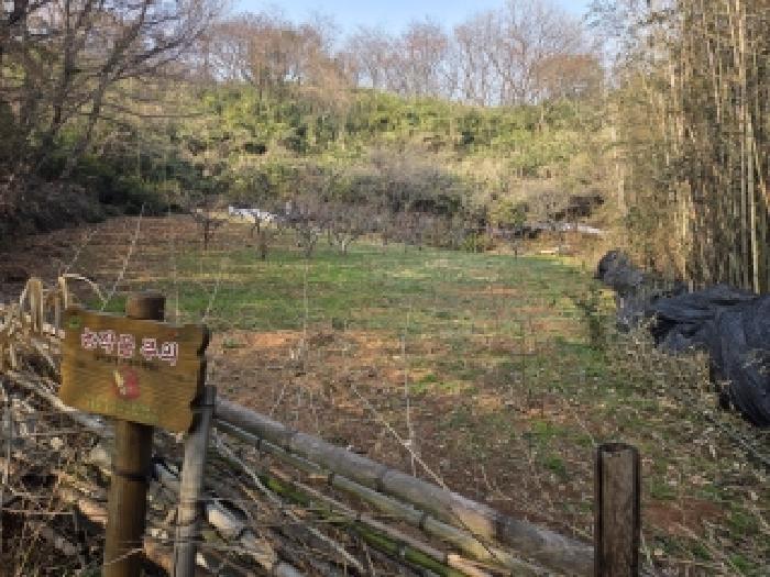 전남 순천시 대룡동 전답 경매 물건 사진