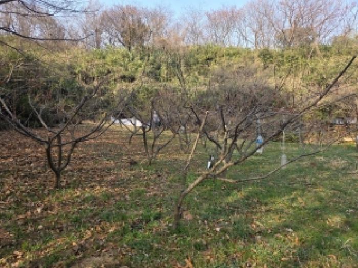 전남 순천시 대룡동 전답 경매 물건 사진 2 · 2026타경50389