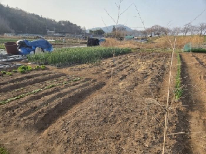 전남 순천시 대룡동 전답 경매 물건 사진 5 · 2026타경50389