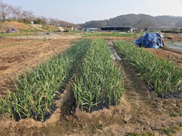 전남 순천시 대룡동 전답 경매 물건 사진 6 · 2026타경50389