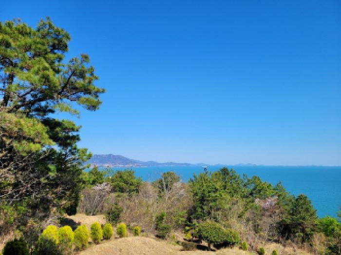 전남 여수시 돌산읍 임야 경매 물건 사진