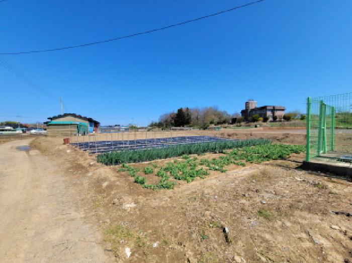 전남 보성군 벌교읍 전답 경매 물건 사진