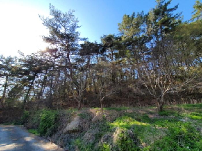 전남 보성군 율어면 임야 경매 물건 사진 3 · 2026타경50415