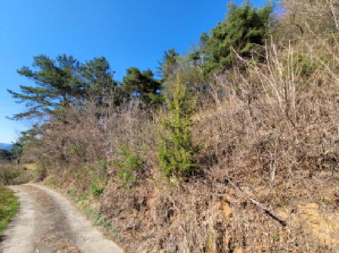 전남 보성군 율어면 임야 경매 물건 사진 4 · 2026타경50415