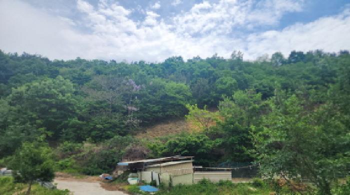 전남 광양시 성황동 임야 경매 물건 사진 2 · 2026타경50458