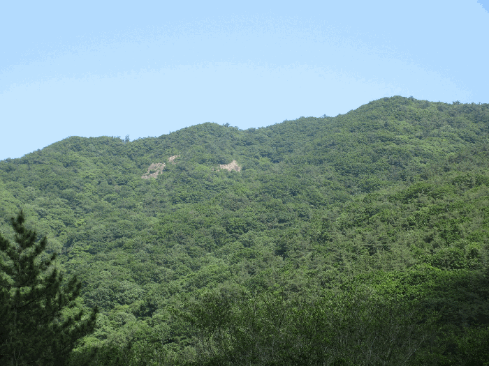 전남 보성군 득량면 임야 경매 물건 사진 6 · 2026타경50635