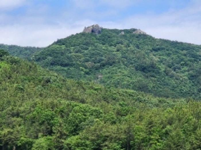 전남 보성군 득량면 임야 경매 물건 사진