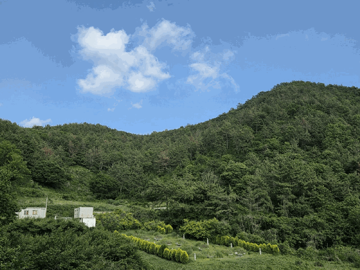 전남 여수시 소라면 임야 경매 물건 사진 4 · 2026타경50685