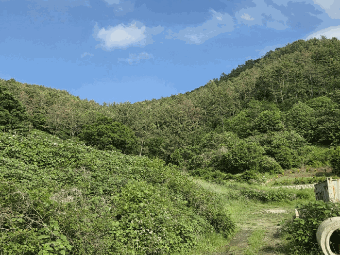 전남 여수시 소라면 임야 경매 물건 사진 5 · 2026타경50685