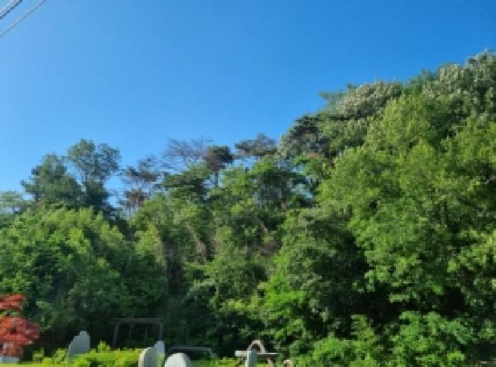 전남 광양시 진월면 임야 경매 물건 사진 2 · 2026타경50706